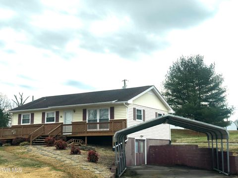 Photo of 35 Hermitage Street, Greeneville, TN 37745 (MLS # 9989564)
