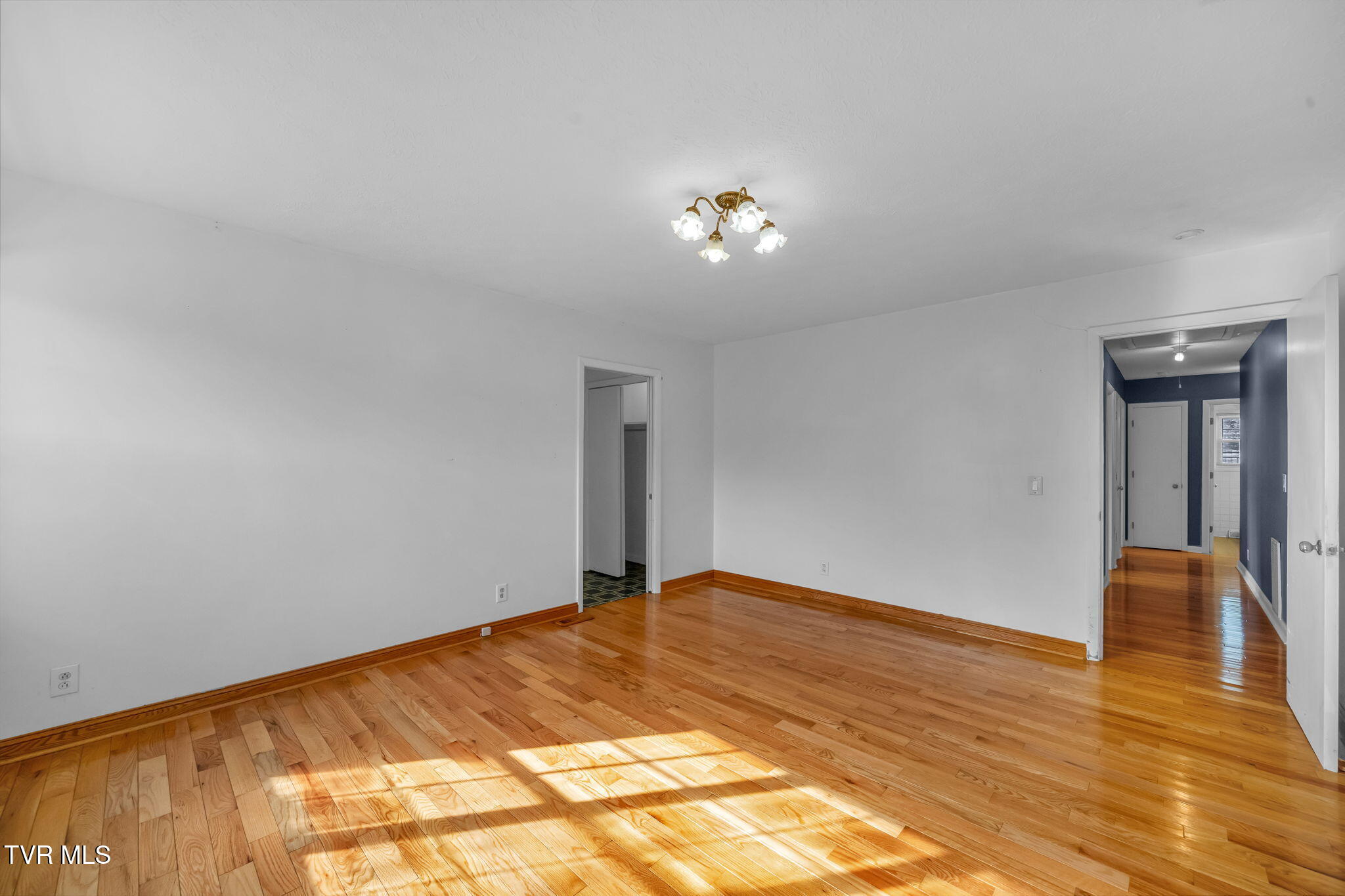 1303 Knob Creek Road, Johnson City, Tennessee image 30