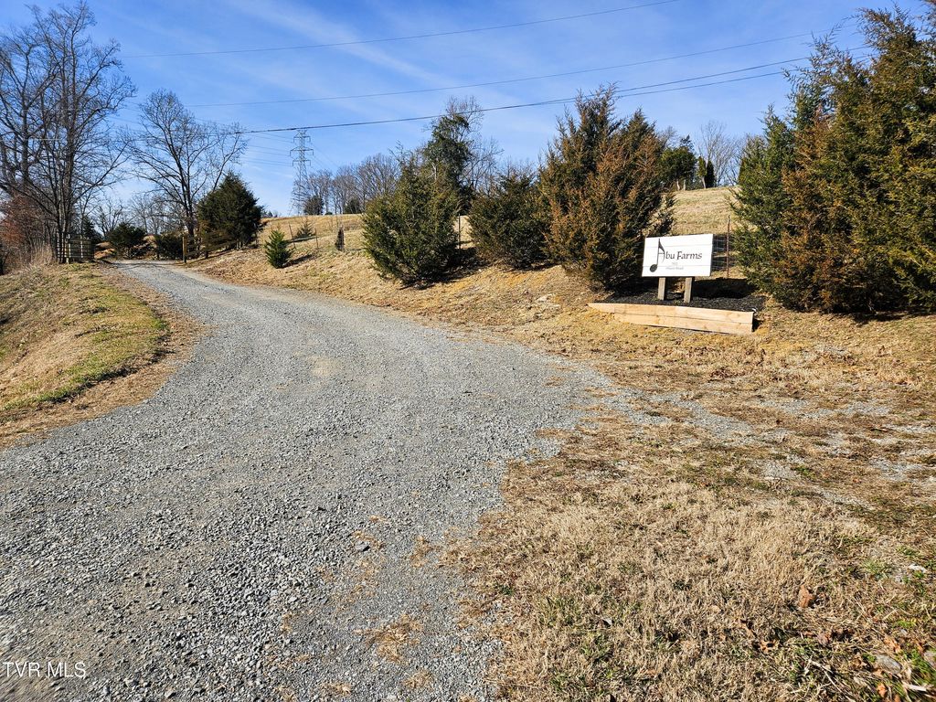 Photo of 760 Church Road, Fall Branch, TN 37656 (MLS # 9990328)