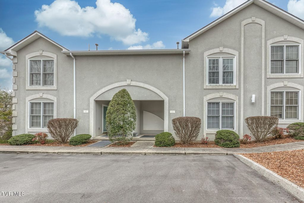 Photo of 166 Bentley Parc # 42, Johnson City, TN 37615 (MLS # 9991571)