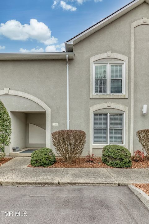 Condo For Sale - 166 Bentley Parc # 42<br/> Washington County, Johnson City, TN 37615