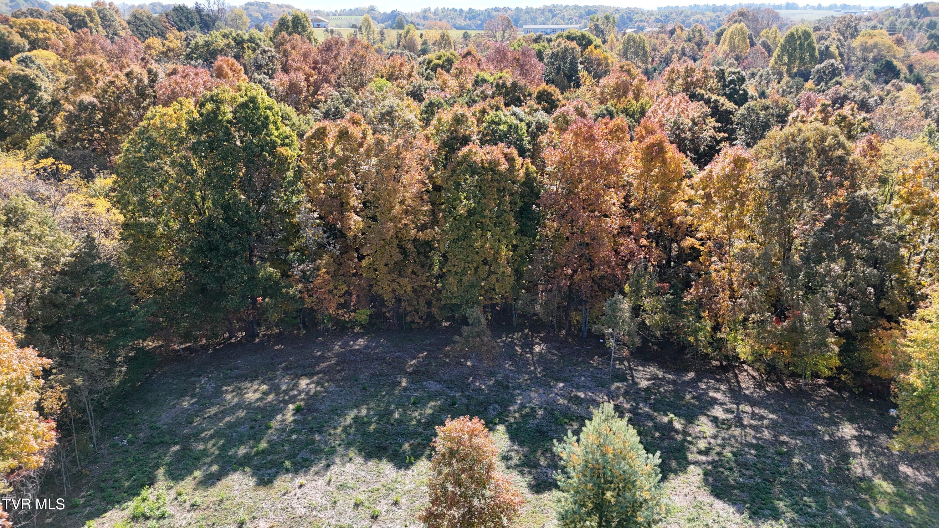 Tr 14 Newport Highway, Greeneville, Tennessee image 40