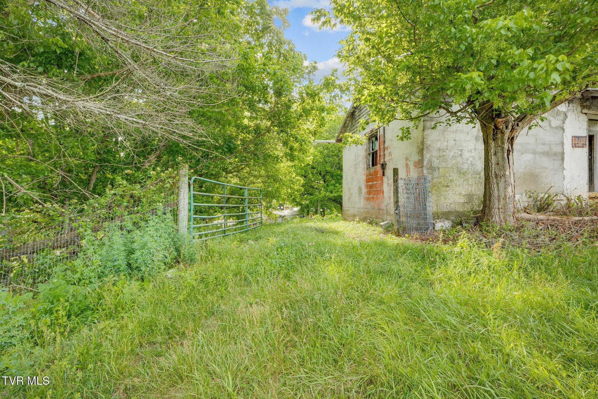 141 Stanley Road, Johnson City, Tennessee image 4