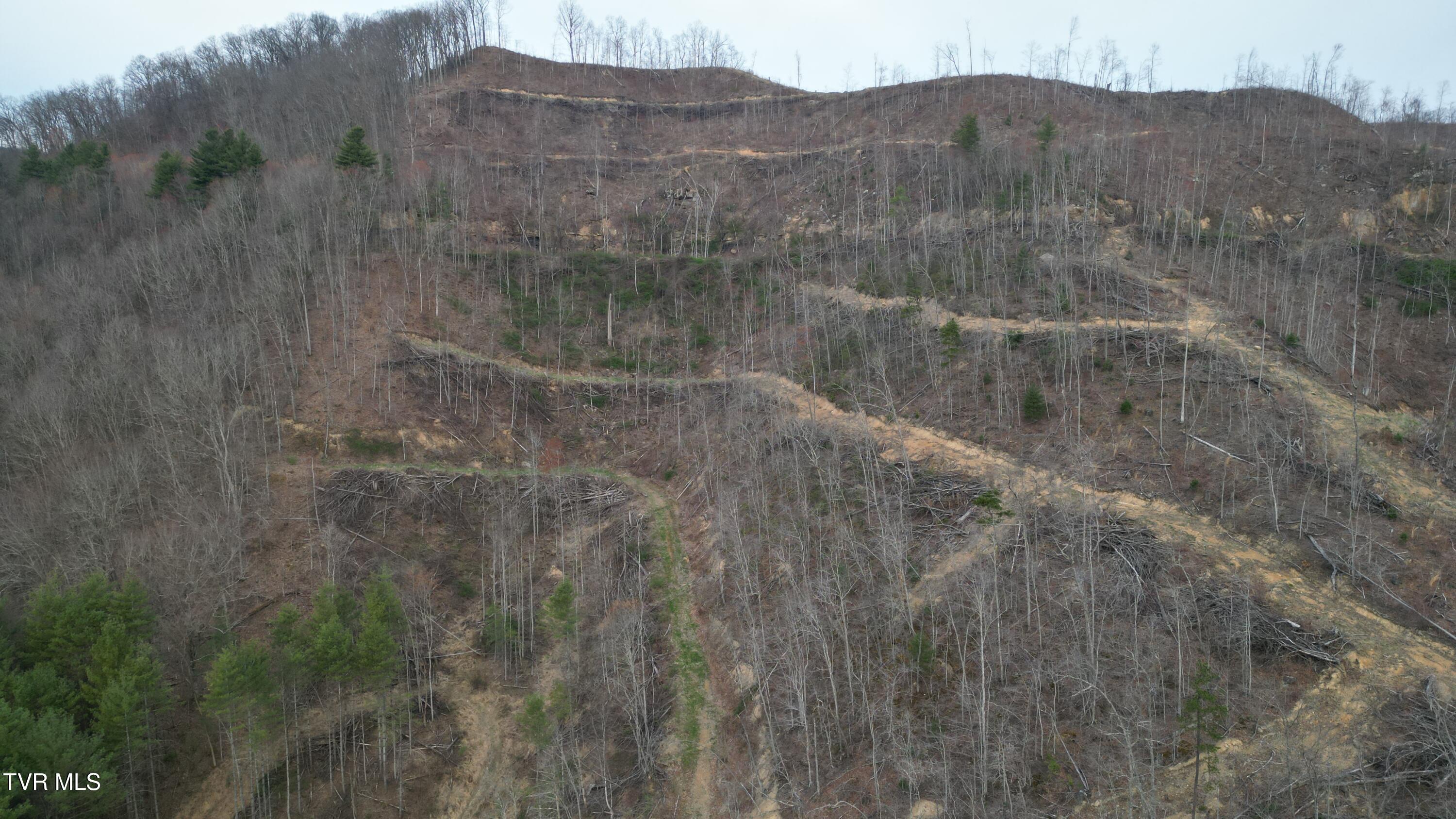 Tbd Orby Cantrell Highway, Pound, Virginia image 6