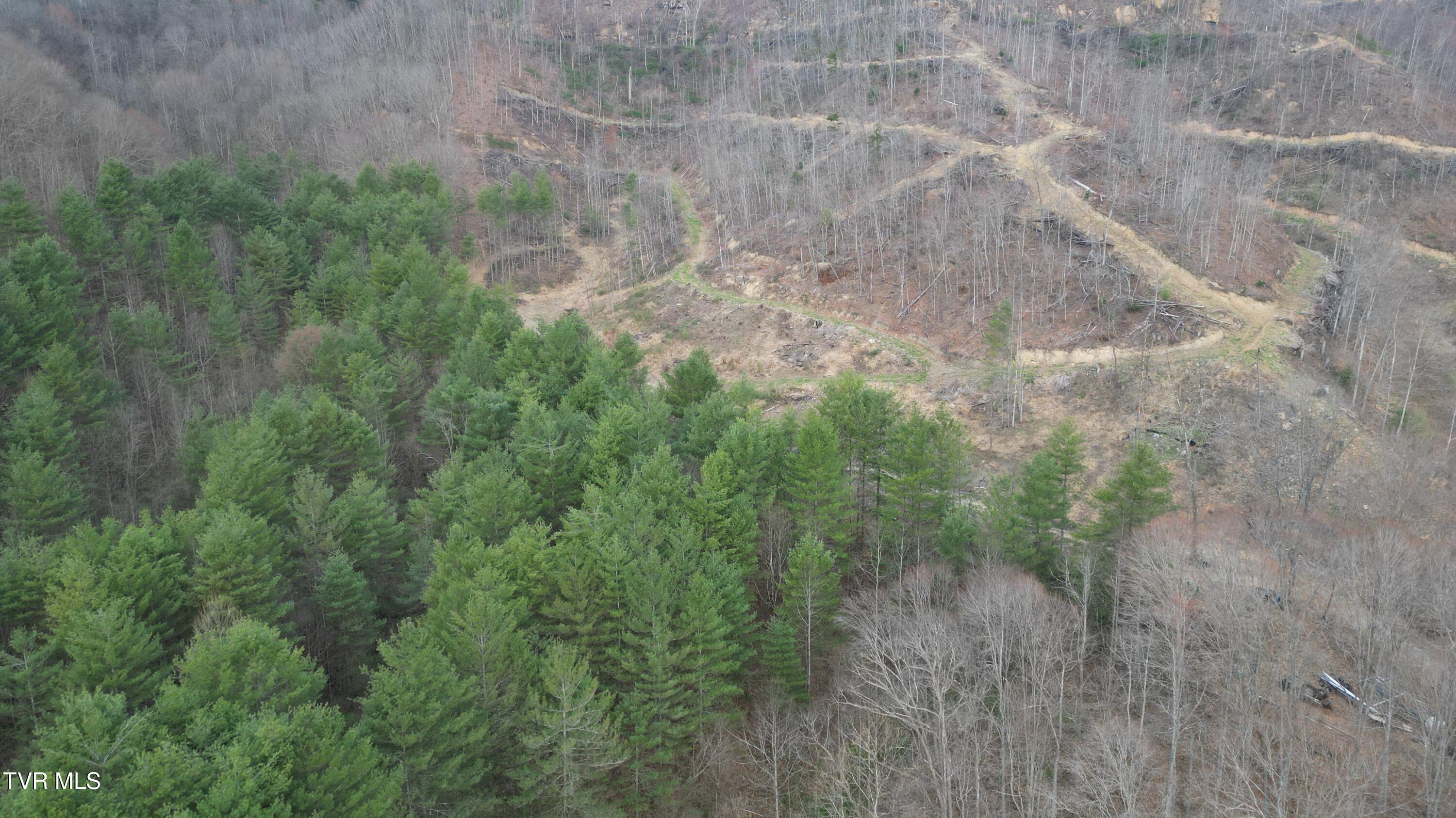 Tbd Orby Cantrell Highway, Pound, Virginia image 3