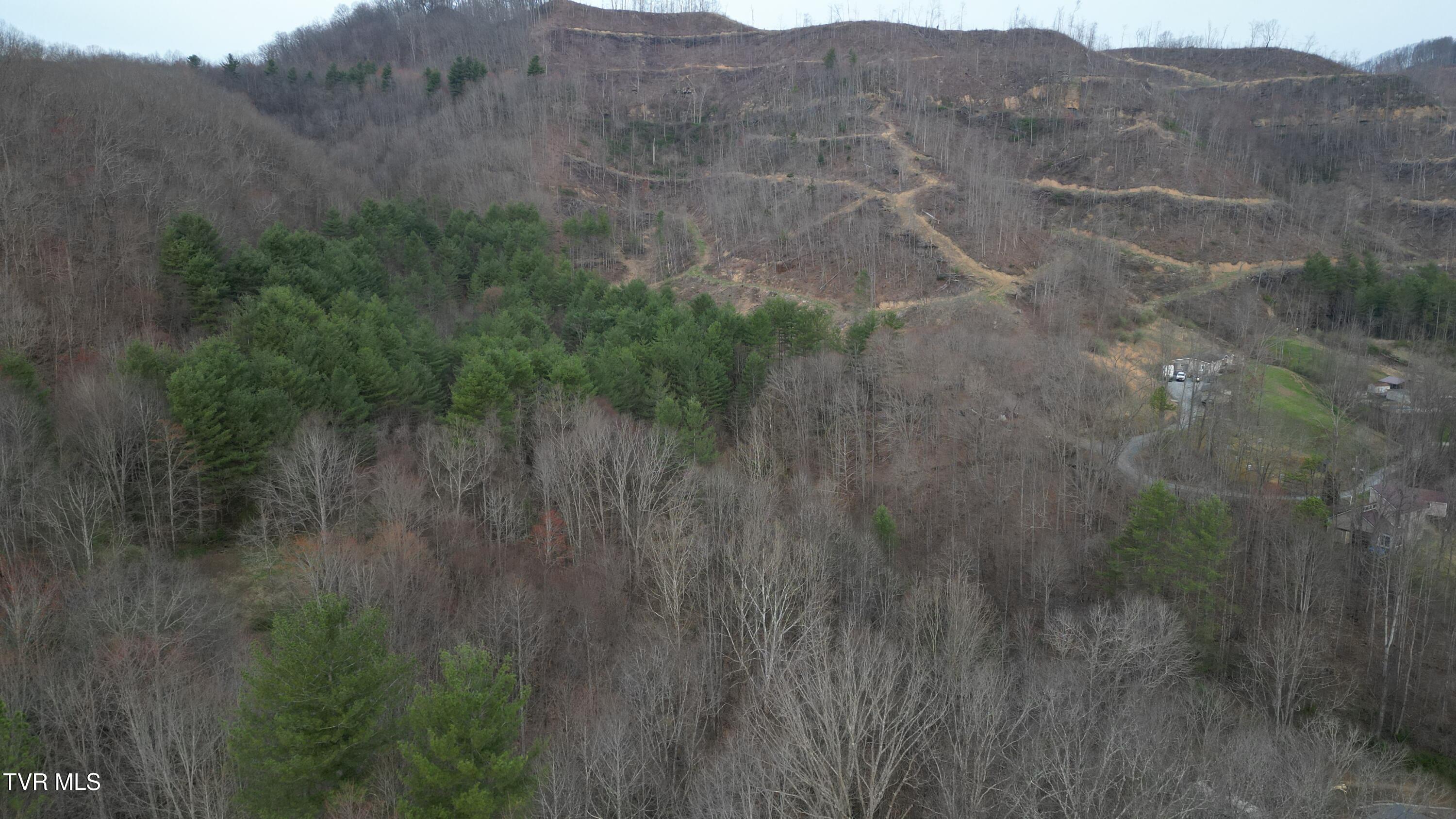 Tbd Orby Cantrell Highway, Pound, Virginia image 1