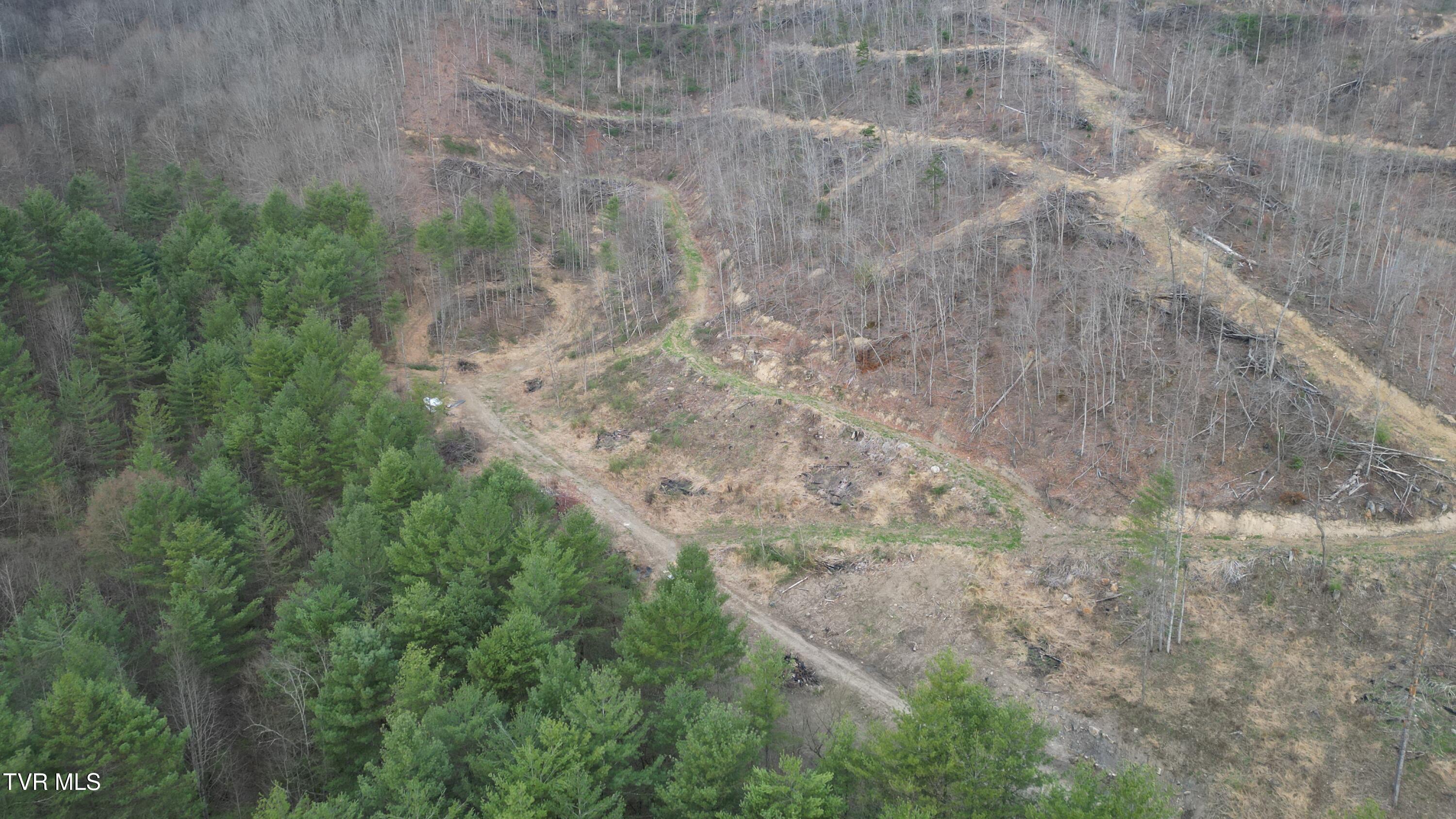 Tbd Orby Cantrell Highway, Pound, Virginia image 4
