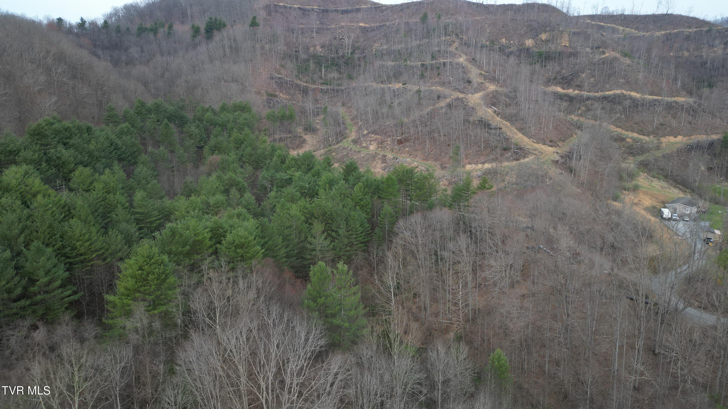Tbd Orby Cantrell Highway, Pound, Virginia image 2