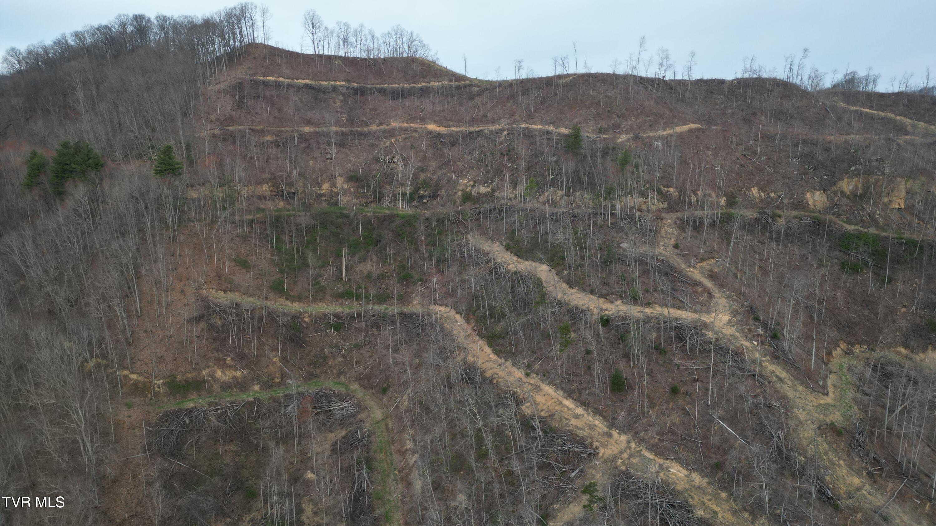 Tbd Orby Cantrell Highway, Pound, Virginia image 13