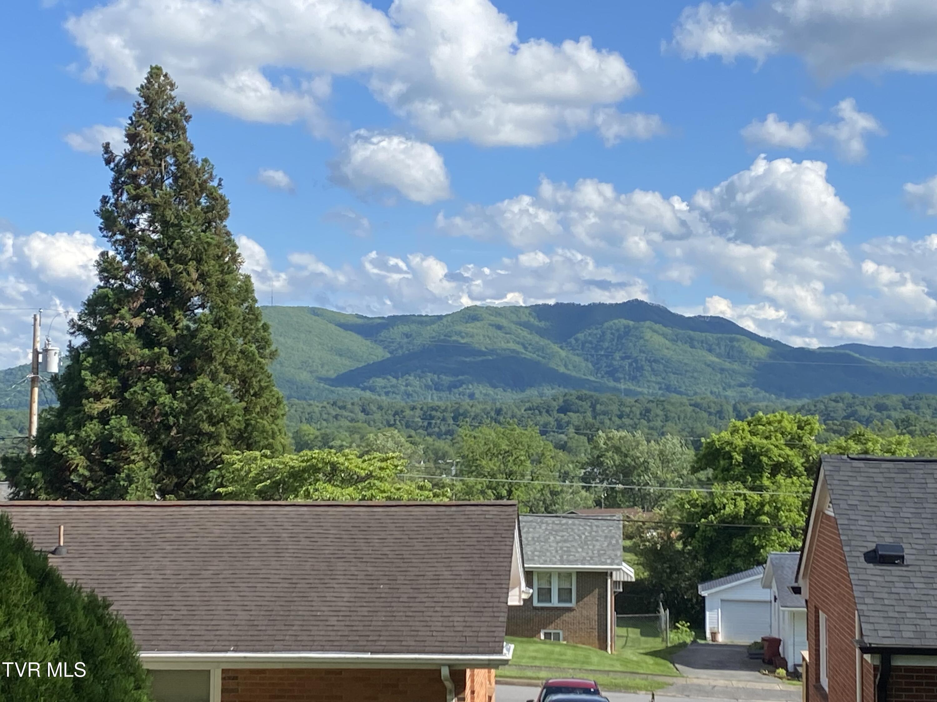 Johnson City, Tennessee 37604, United States, 3 Bedrooms Bedrooms, ,2 BathroomsBathrooms,Residential,Active,150078