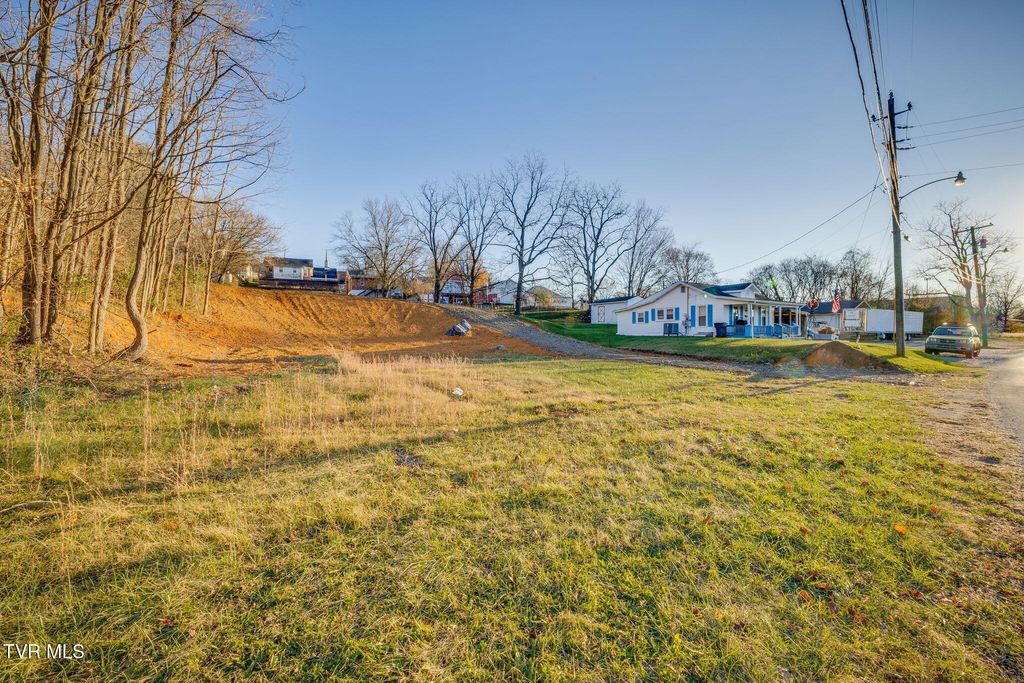 Photo of 544 Oakwood Street, Bristol, TN 37620 (MLS # 9988575)