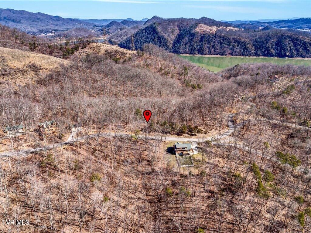 Photo of 273 Chelaque Way, Mooresburg, TN 37811 (MLS # 9987908)