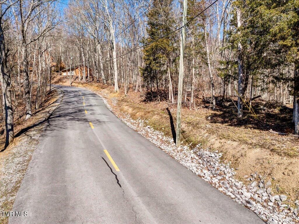 Photo of 273 Chelaque Way, Mooresburg, TN 37811 (MLS # 9987908)