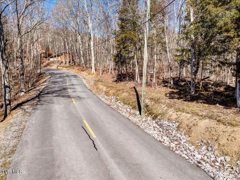 Vacant Land For Sale - 273 Chelaque Way<br/> Mooresburg, TN 37811