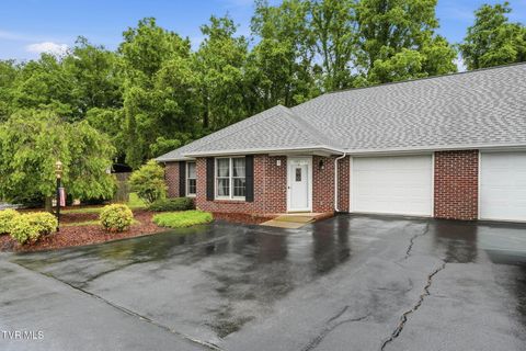 Photo of 2425 Lakeview Drive #Apt 5, Johnson City, TN 37601 (MLS # 9995305)