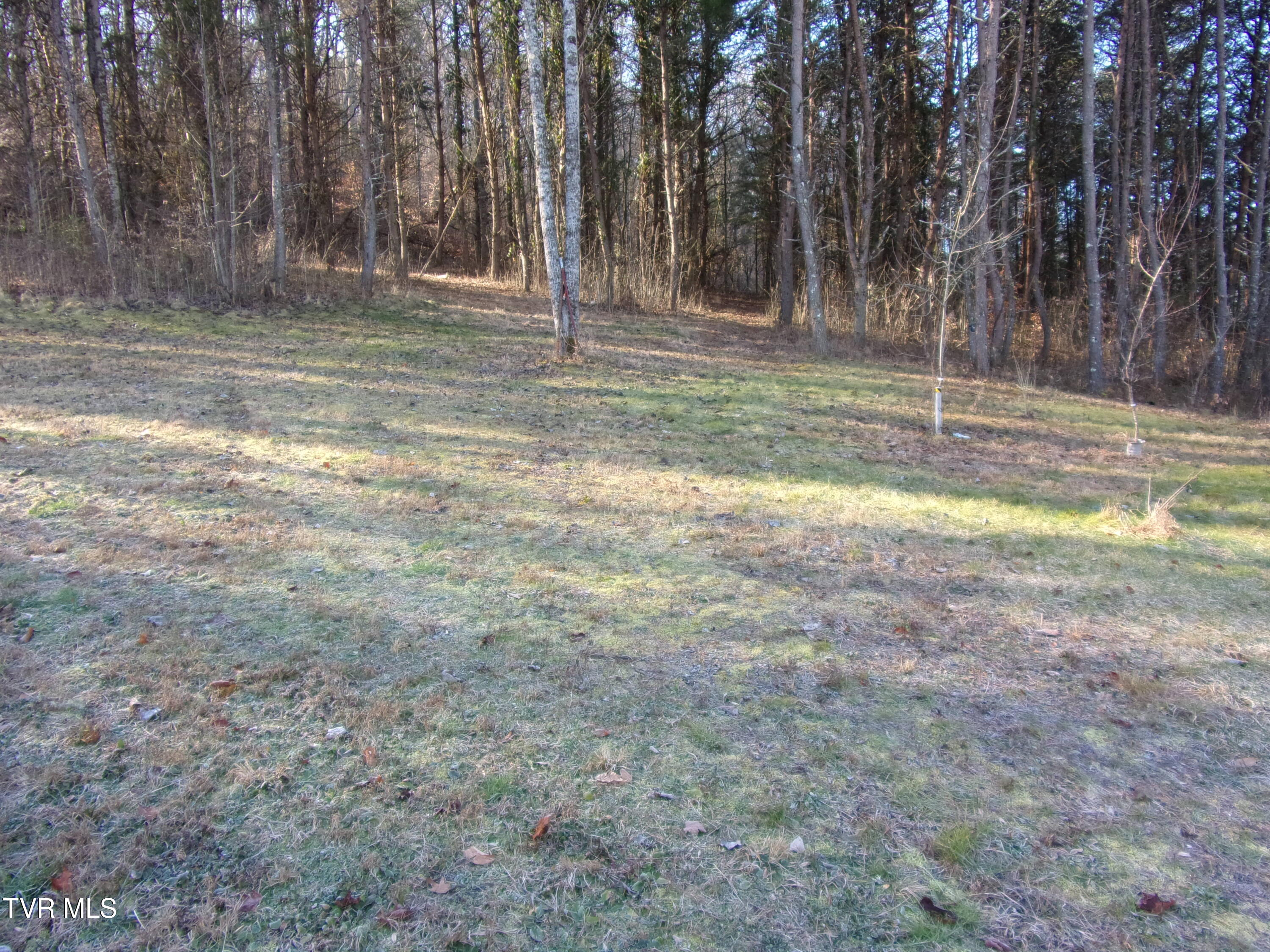 8615 Warrensburg Rd, Mosheim, Tennessee image 5