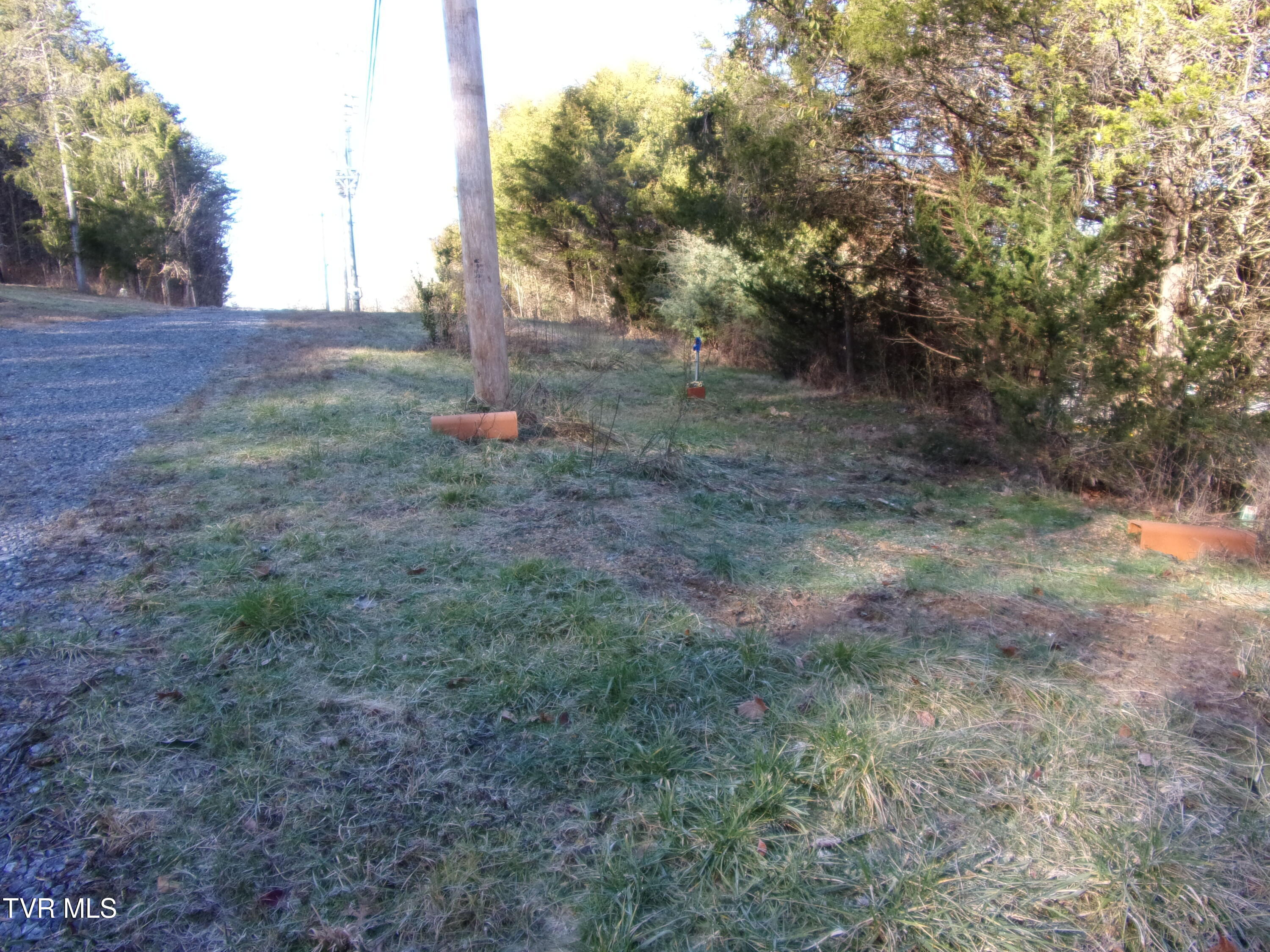 8615 Warrensburg Rd, Mosheim, Tennessee image 10