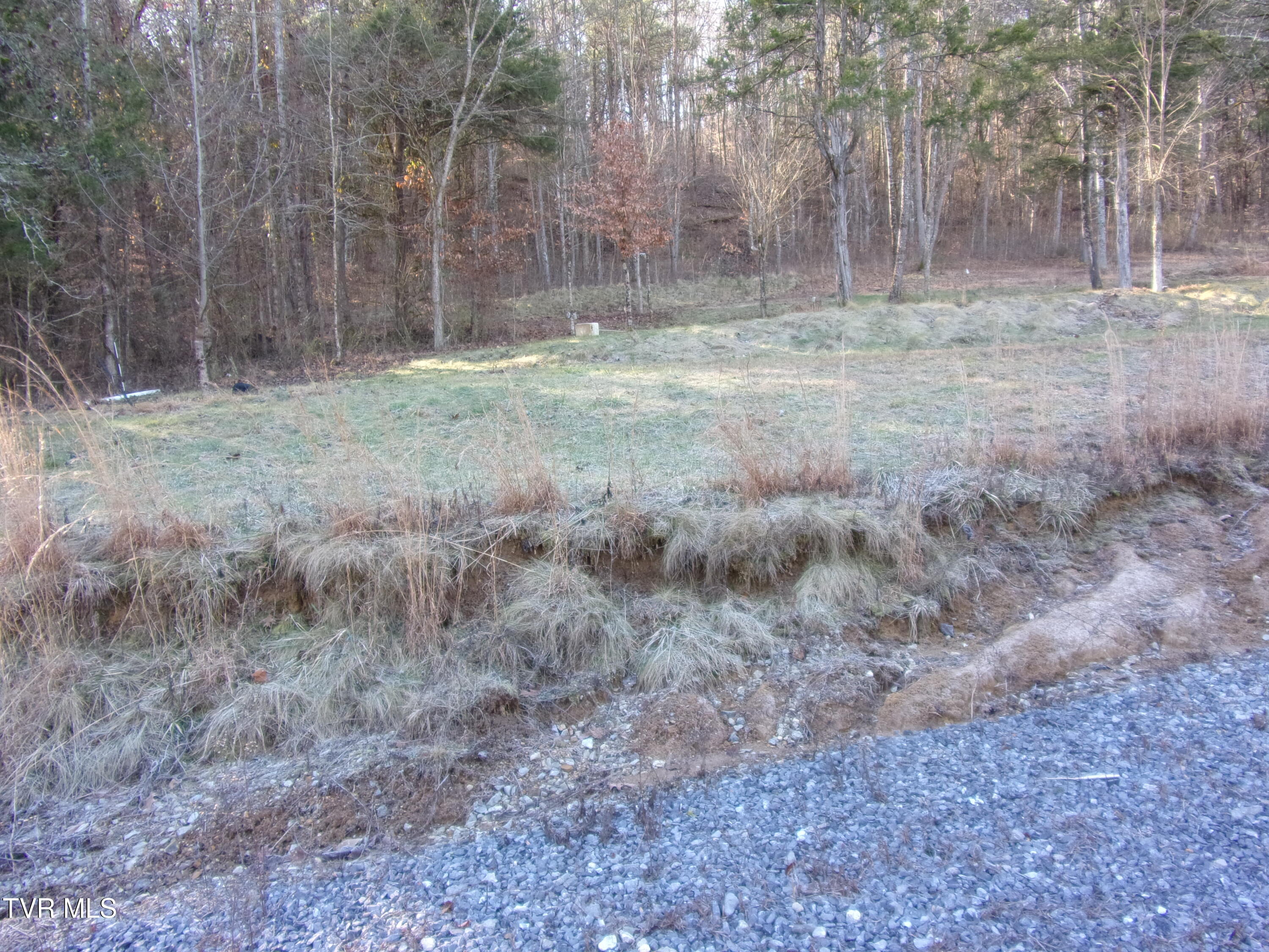 8615 Warrensburg Rd, Mosheim, Tennessee image 4