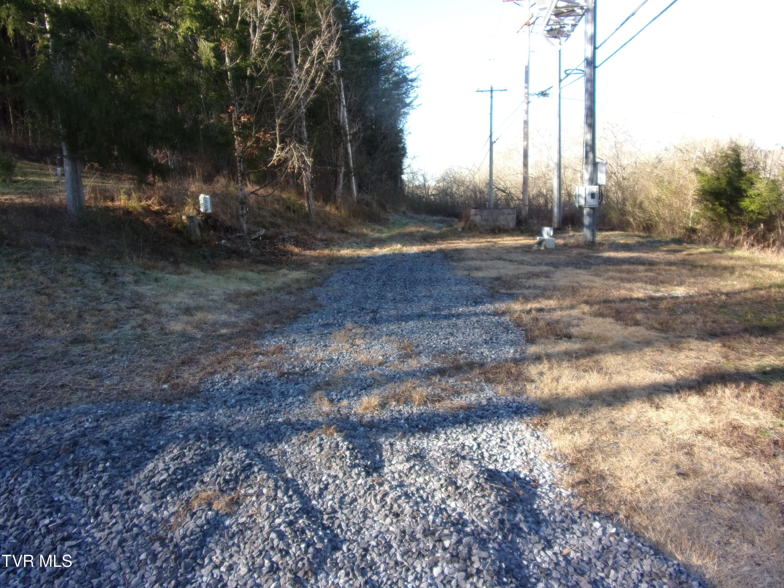8615 Warrensburg Rd, Mosheim, Tennessee image 2