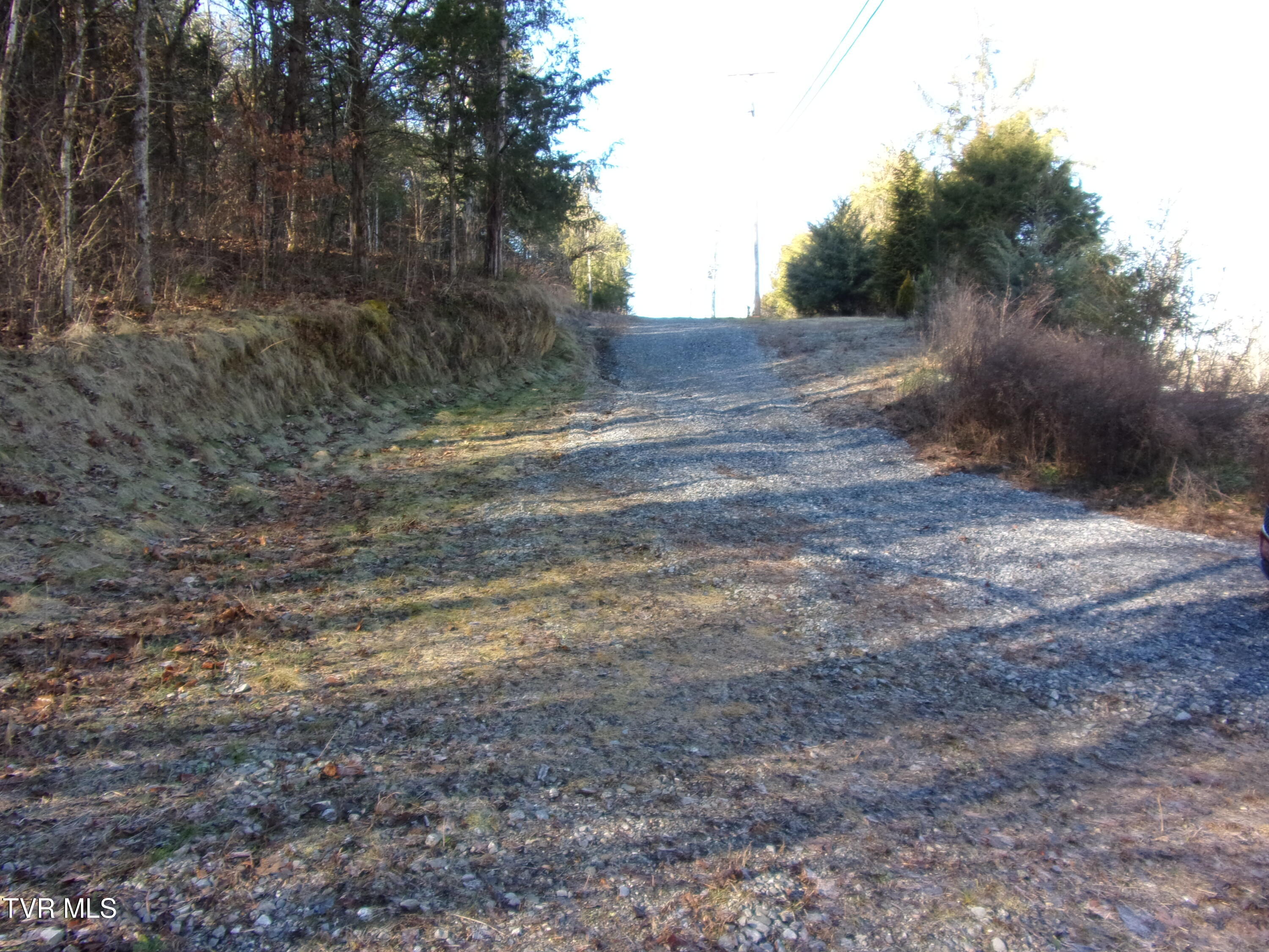 8615 Warrensburg Rd, Mosheim, Tennessee image 9