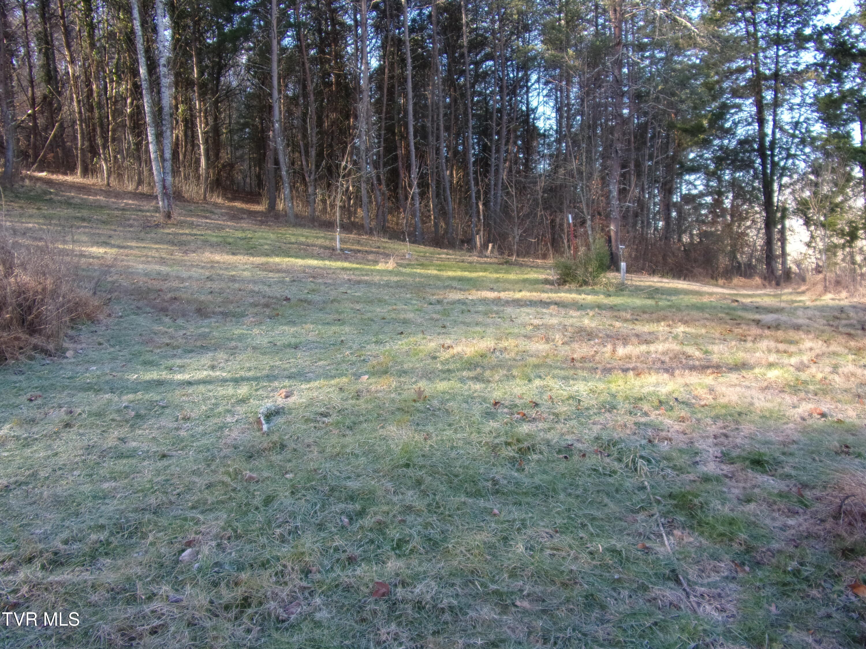 8615 Warrensburg Rd, Mosheim, Tennessee image 1