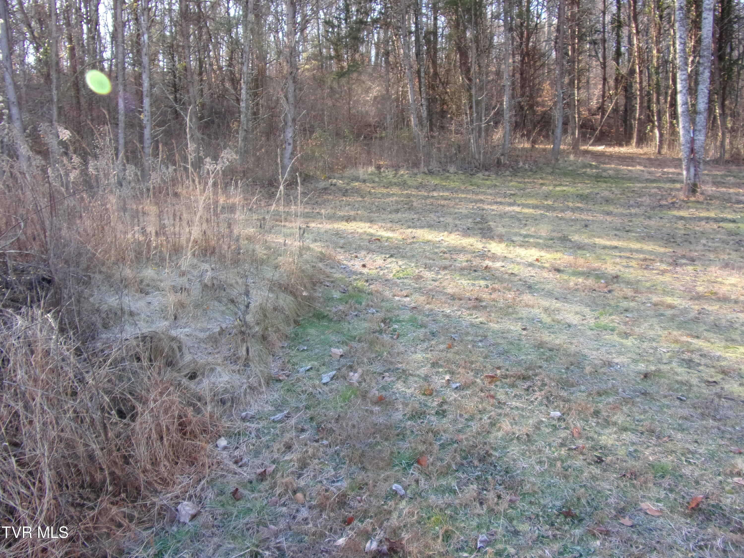 8615 Warrensburg Rd, Mosheim, Tennessee image 6