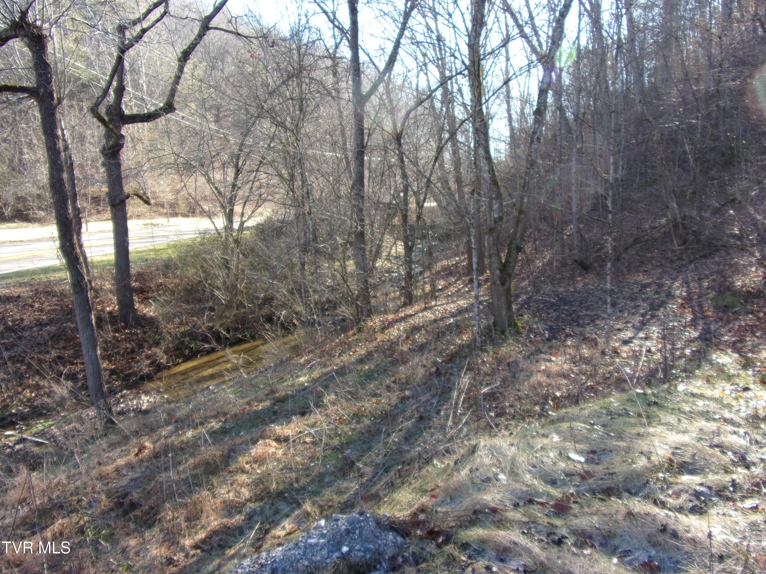 8615 Warrensburg Rd, Mosheim, Tennessee image 7