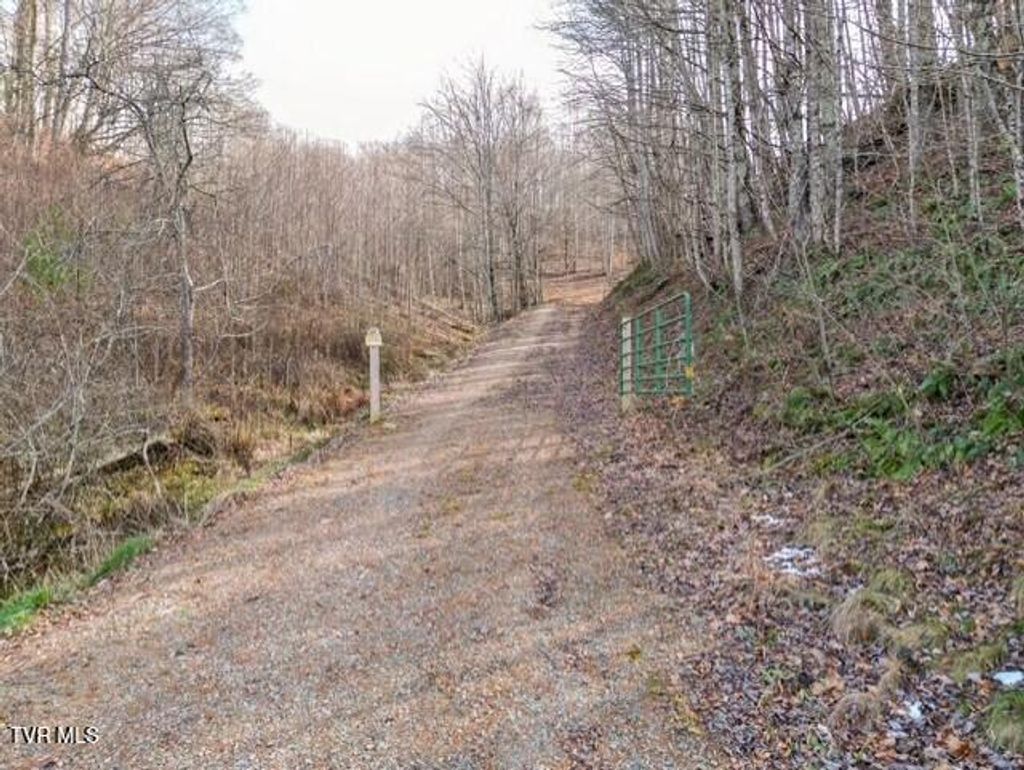 Photo of Tbd Fred Wallace Road, Trade, TN 37691 (MLS # 9988294)