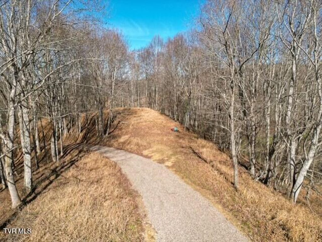 Photo of Tbd Fred Wallace Road, Trade, TN 37691 (MLS # 9988294)