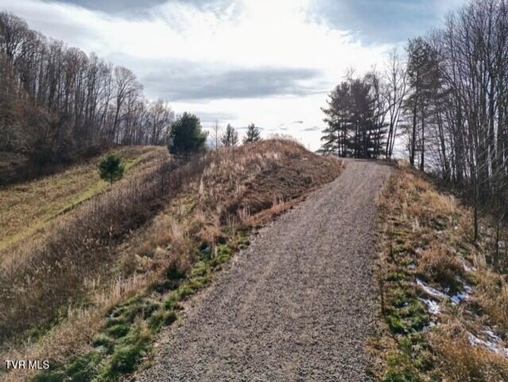 Photo of Tbd Fred Wallace Road, Trade, TN 37691 (MLS # 9988294)