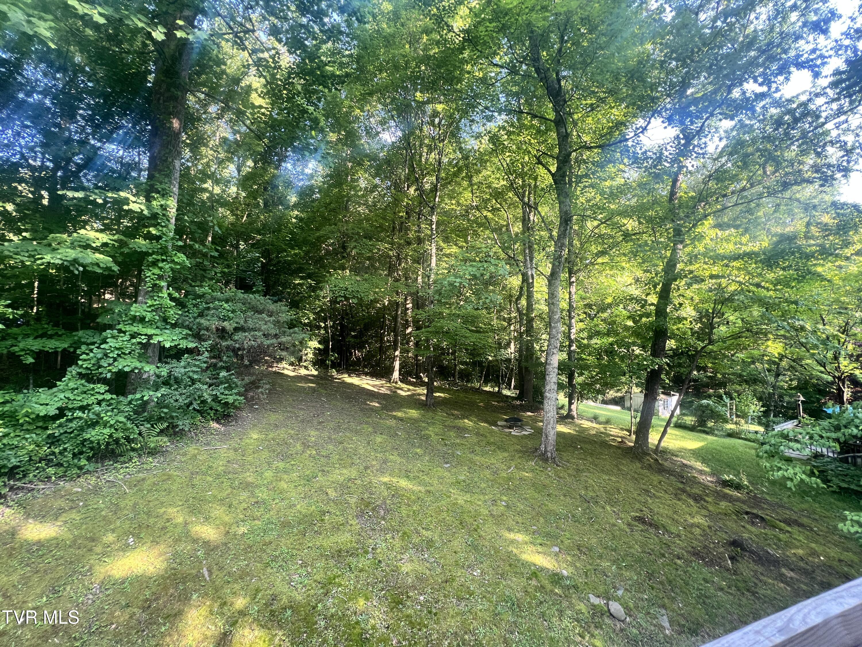 1111 Cherokee Road, Johnson City, Tennessee image 14