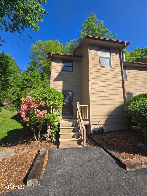 Photo of 215 Windridge Colony #215, Johnson City, TN 37601 (MLS # 9995350)
