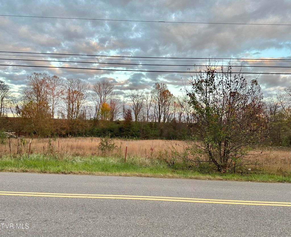 Photo of 109 L P Auer Road, Johnson City, TN 37604 (MLS # 9991615)