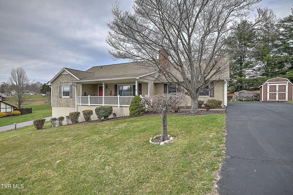 Photo of 207 Hermosa Drive, Fall Branch, TN 37656 (MLS # 9992570)