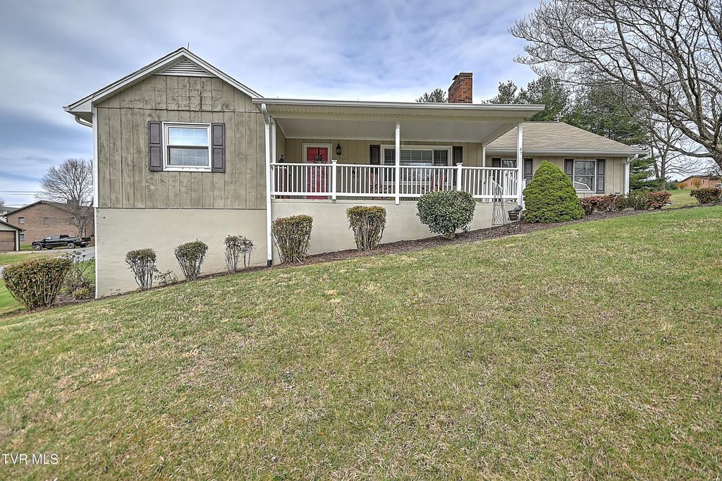 Photo of 207 Hermosa Drive, Fall Branch, TN 37656 (MLS # 9992570)