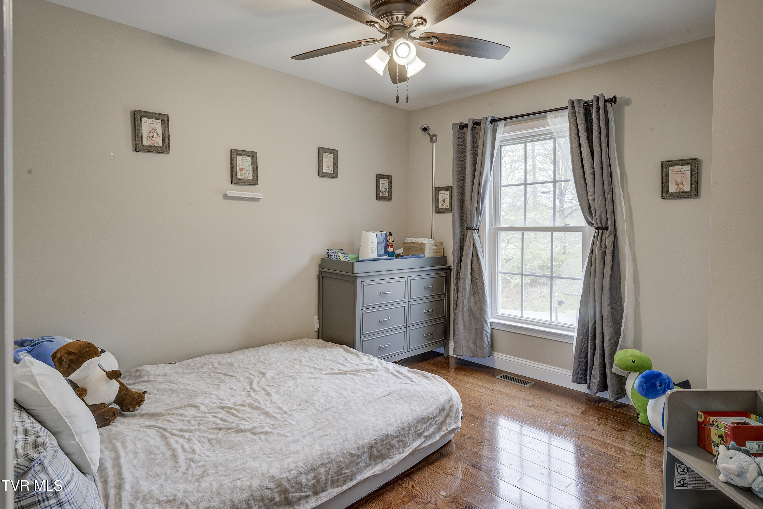 90 Carr Lane North Ln, Fall Branch, Tennessee image 25