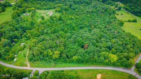 Vacant Land For Sale - TBD Forest<br/> Midway, TN 37809