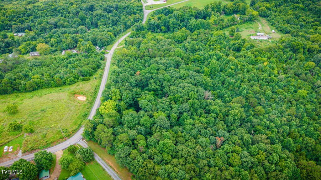 Photo of Tbd Forest, Midway, TN 37809 (MLS # 9998967)