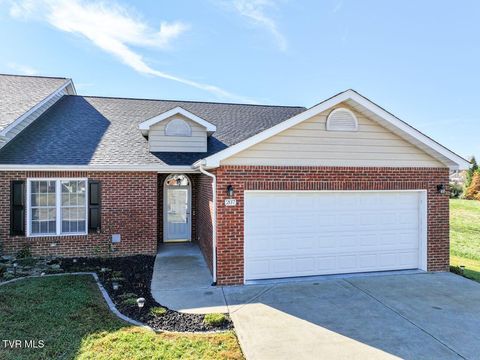 Photo of 207 Planters Row #B3, Greeneville, TN 37745 (MLS # 9987224)