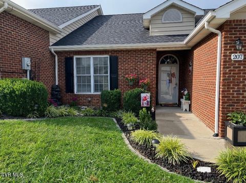 Photo of 207 Planters Row #B3, Greeneville, TN 37745 (MLS # 9987224)