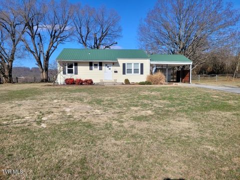 Photo of 2616 Mimosa Lane, Johnson City, TN 37604 (MLS # 9990271)