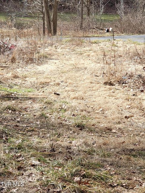 Vacant Land For Sale - 1271 Upper Higgins Cr Road<br/> Unicoi County, Flag Pond, TN 37657