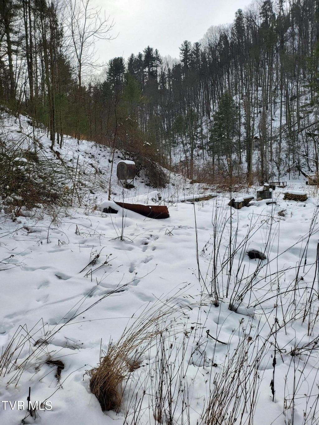 Photo of 1271 Upper Higgins Cr Road, Flag Pond, TN 37657 (MLS # 9990834)