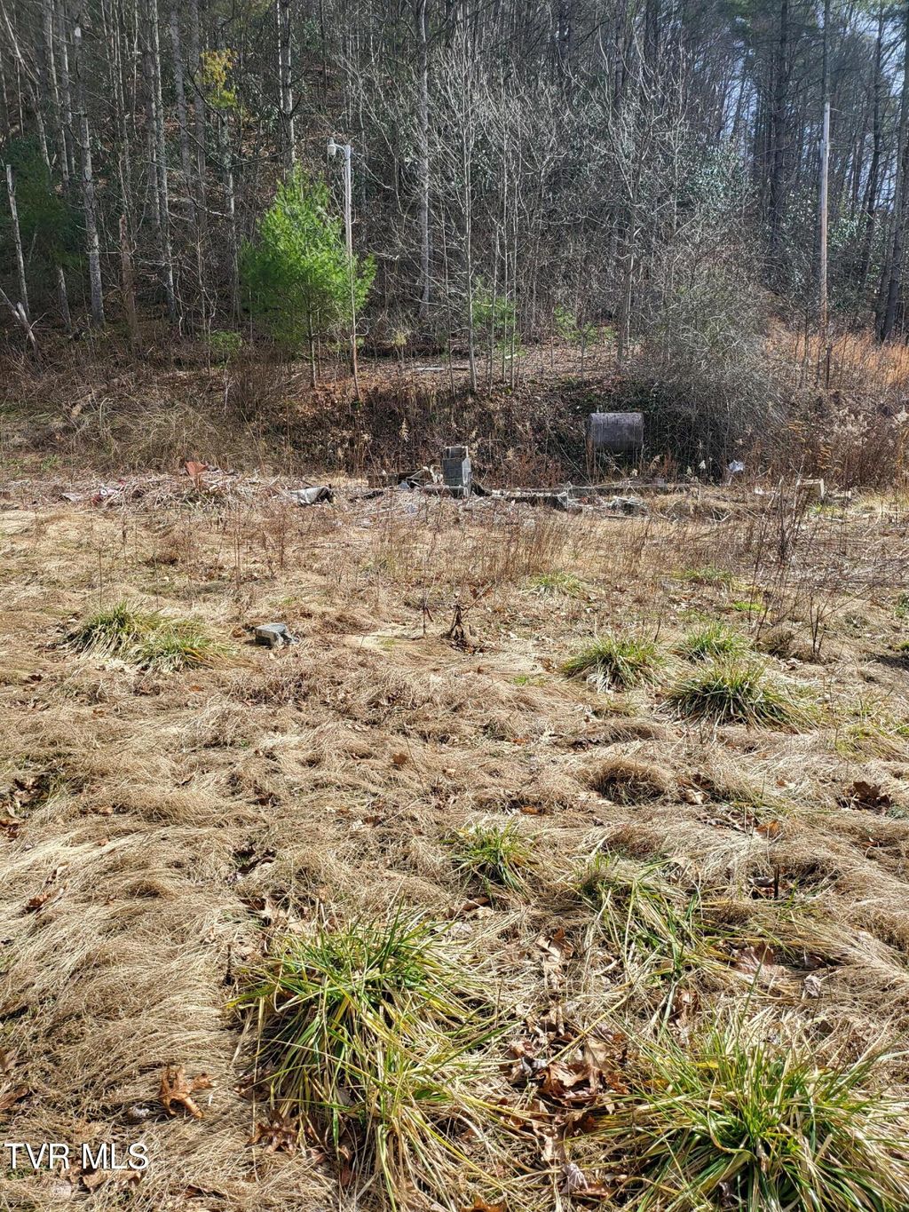 Photo of 1271 Upper Higgins Cr Road, Flag Pond, TN 37657 (MLS # 9990834)