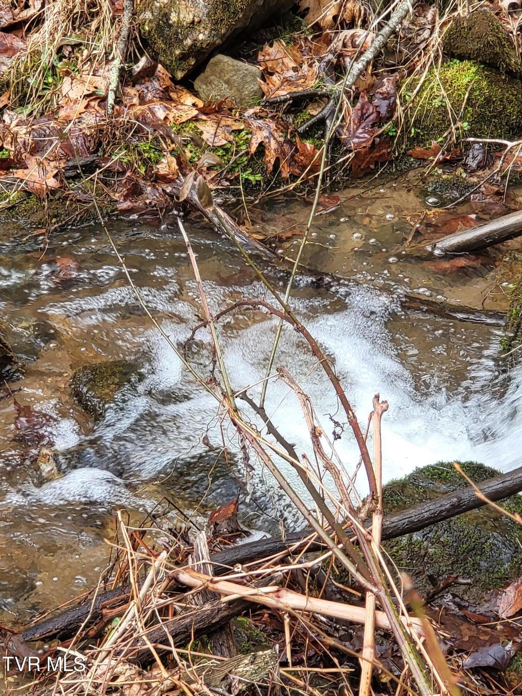 Photo of 1271 Upper Higgins Cr Road, Flag Pond, TN 37657 (MLS # 9990834)