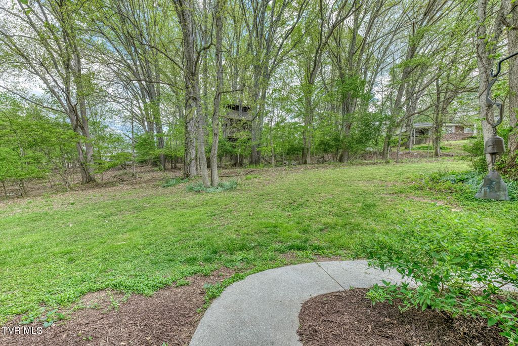 Photo of 713 Crowell Lane, Johnson City, TN 37601 (MLS # 9994366)