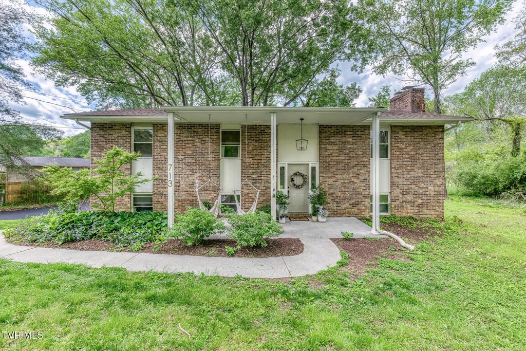 Photo of 713 Crowell Lane, Johnson City, TN 37601 (MLS # 9994366)