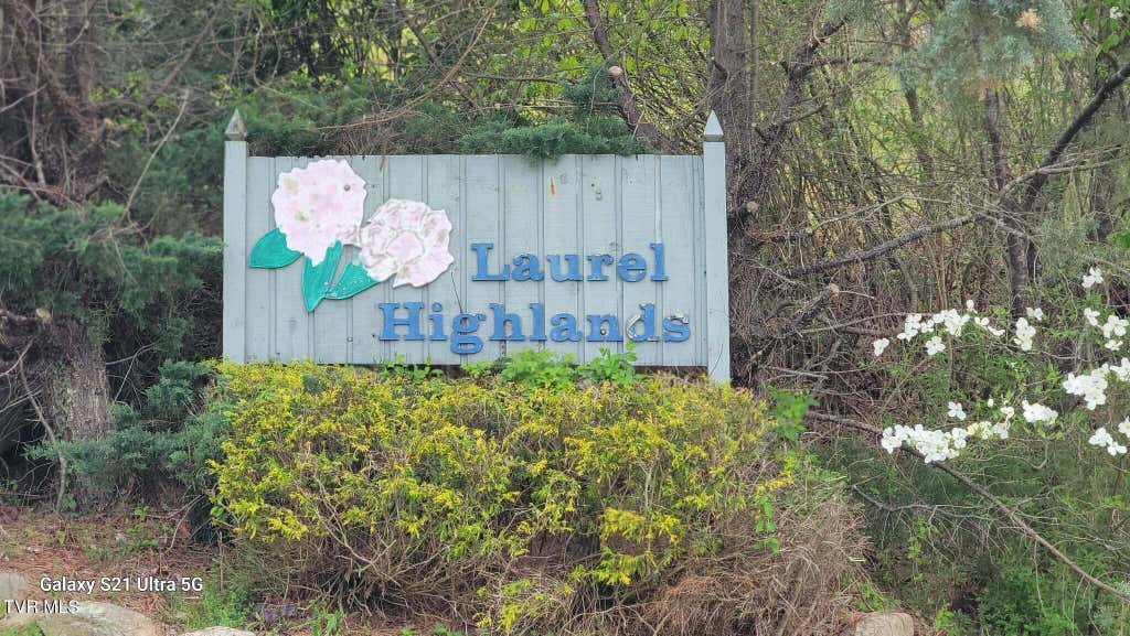 Photo of 25 Laurel Highlands Drive #Lot 25, Roan Mountain, TN 37687 (MLS # 9997756)