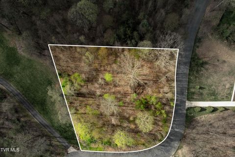 Vacant Land For Sale - TBD Randall Laura Lane<br/> Bluff City, TN 37618