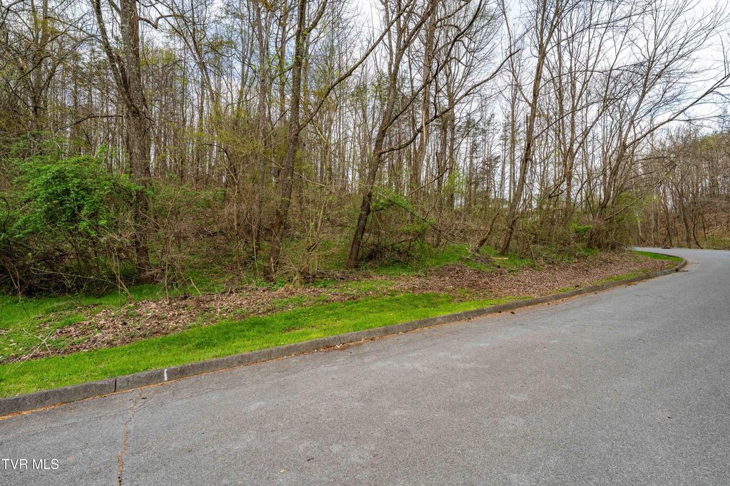 Photo of Tbd Randall Laura Lane, Bluff City, TN 37618 (MLS # 9993307)